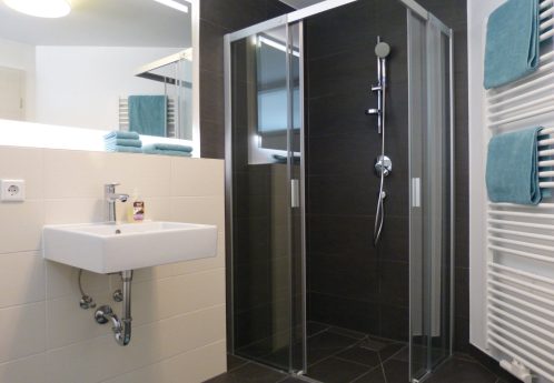 Taubenberg Apartments Schweinfurt / Euerbach - bathroom with shower and toilet