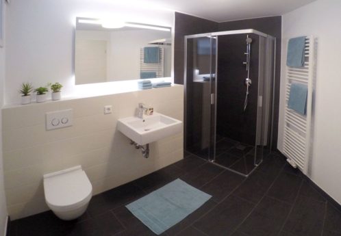 Taubenberg Apartments Schweinfurt / Euerbach - bathroom with shower and toilet 2